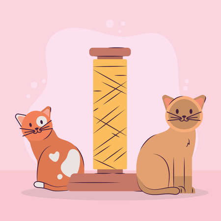 catd and acratches postのイラスト素材