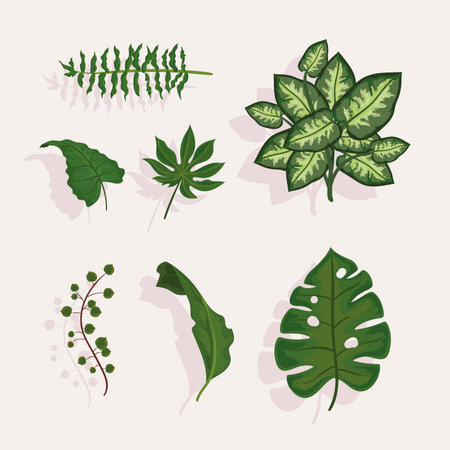seven leaves plants