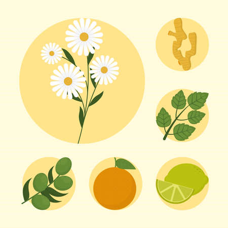 six home remedies ingredientsのイラスト素材