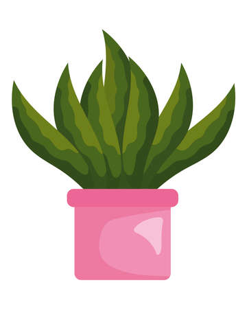 indoor plant iconのイラスト素材