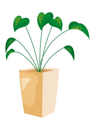 decorative indoor plantのイラスト素材