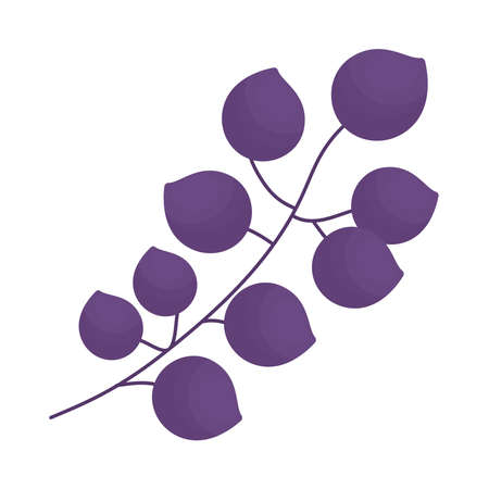 purple leaves branchのイラスト素材