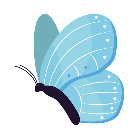 blue butterfly iconのイラスト素材