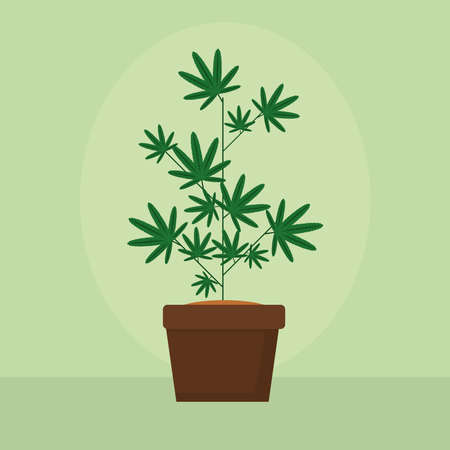 illustration of cannabis plantのイラスト素材
