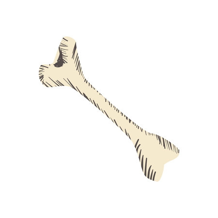 big bone design