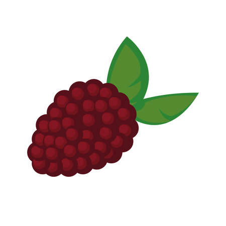 cute redberry designのイラスト素材