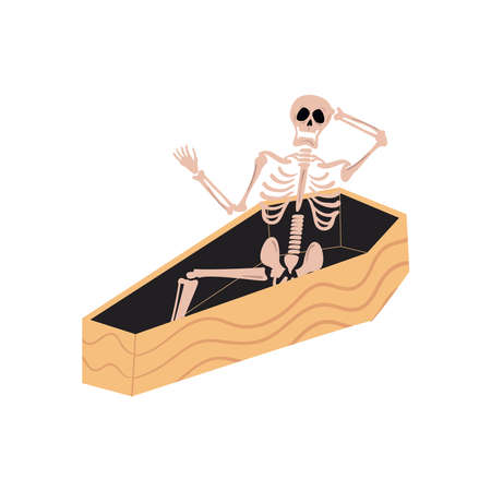 flat skeleton in coffinのイラスト素材