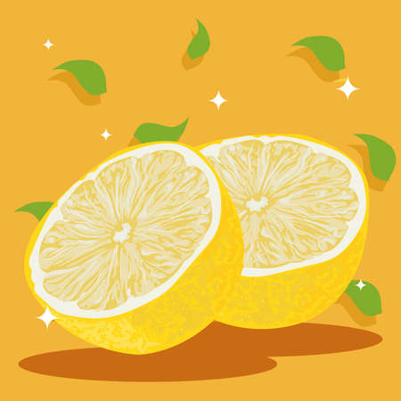 realistic lemon cardのイラスト素材
