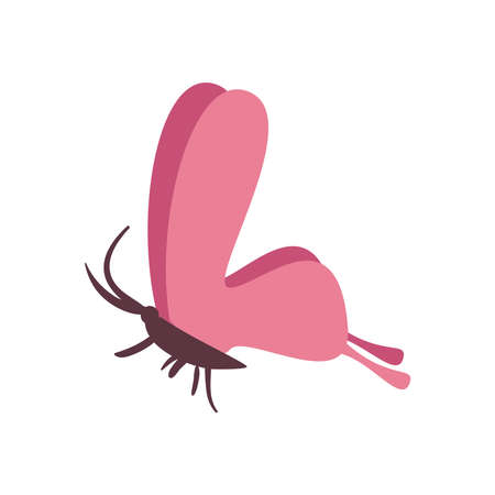 pink butterfly designのイラスト素材