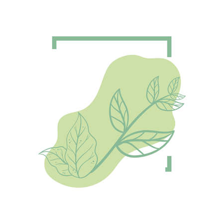 nature seal designのイラスト素材