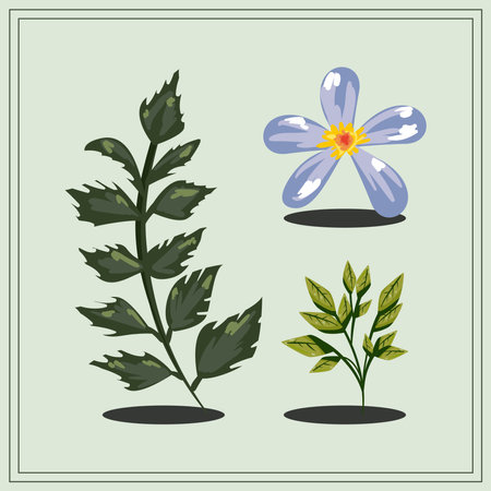 three flats flowersのイラスト素材