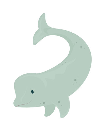 cartoon beluga iconのイラスト素材