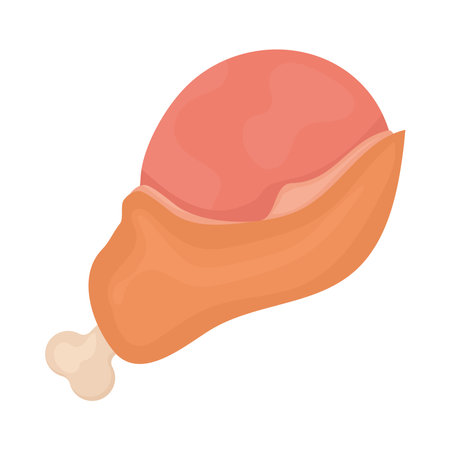 raw chicken thighのイラスト素材