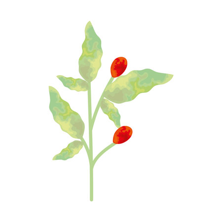 coffee branch with beansのイラスト素材