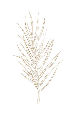 plant branch silhouetteのイラスト素材