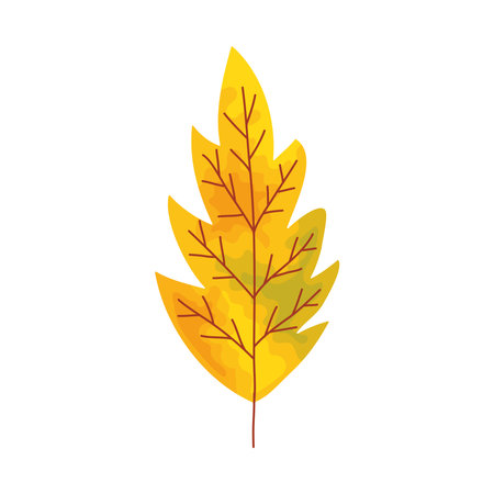 yellow autumn leafのイラスト素材