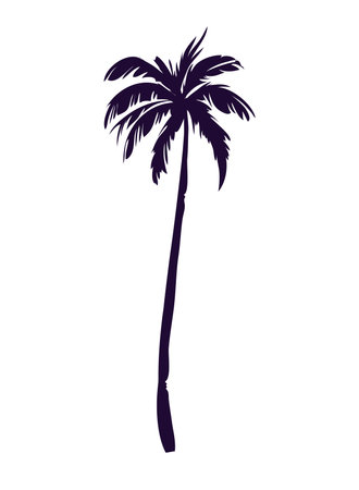 palm silhouette designのイラスト素材