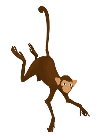 colored chimpanzee designのイラスト素材