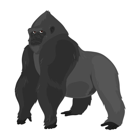 colored gorilla designのイラスト素材