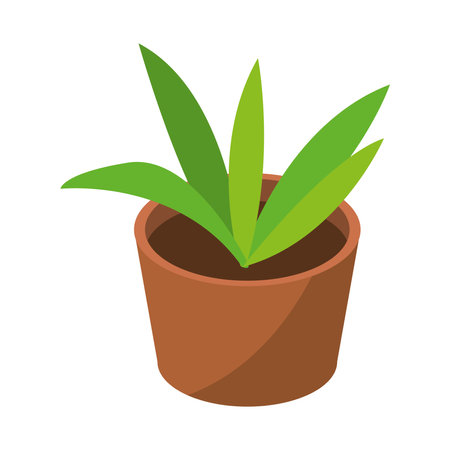 pretty plant designのイラスト素材