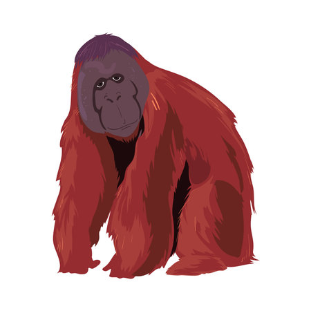 colored orangutan design