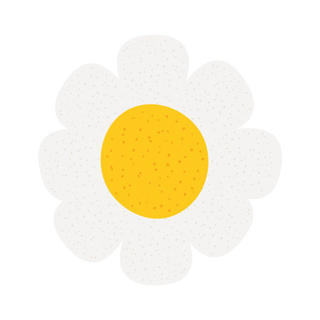 beautiful daisy flowerのイラスト素材