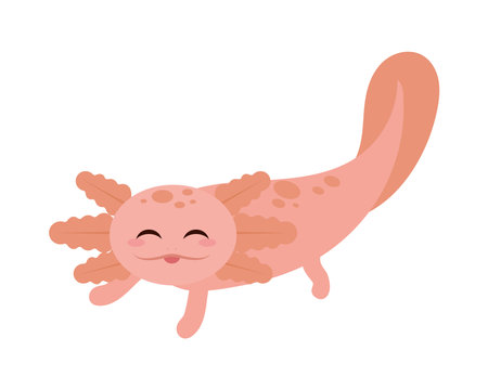 cute axolotl animalのイラスト素材
