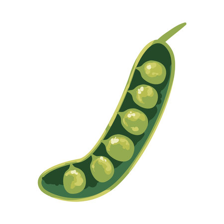 flat peas designのイラスト素材