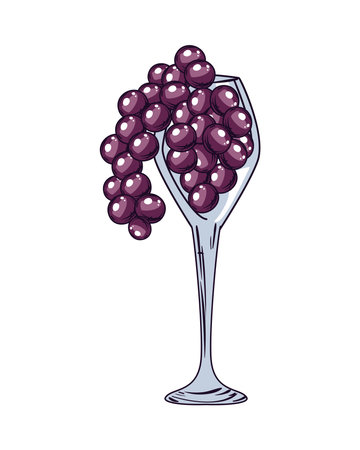 flat glass with grapesのイラスト素材
