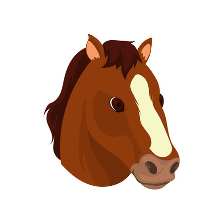 horse face deisgnのイラスト素材