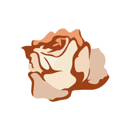 brown rose designのイラスト素材