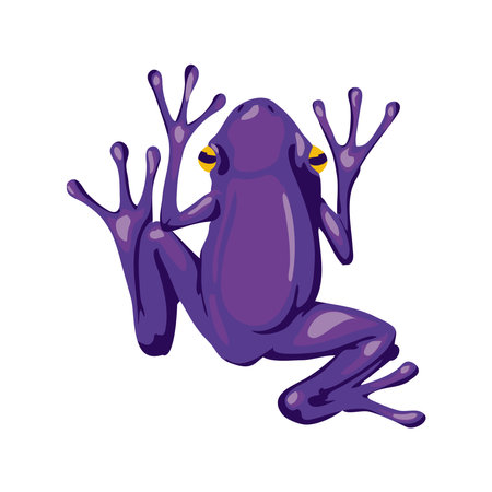 purple frog designのイラスト素材