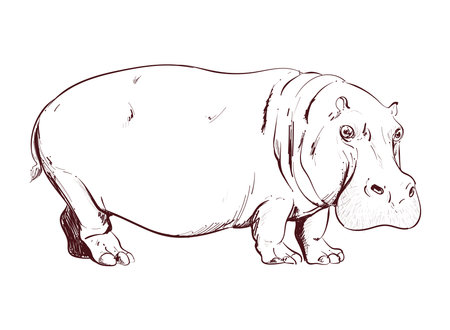 retro hippopotamus designのイラスト素材