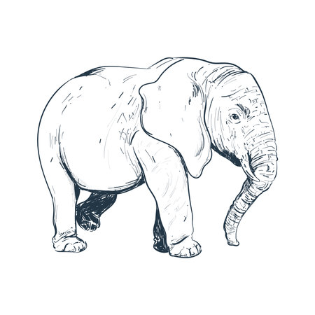 retro elephant designのイラスト素材