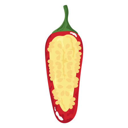 half jalapeno chilli pepperのイラスト素材