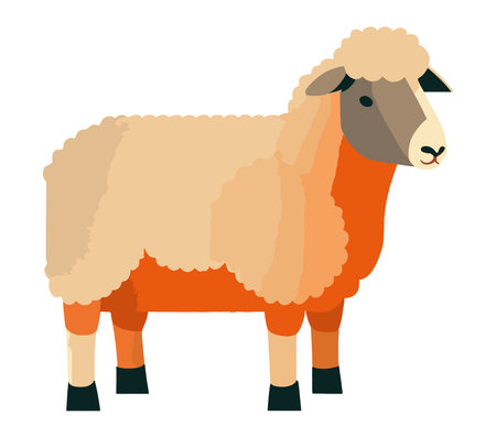 cute white farm sheepのイラスト素材