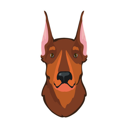 brown doberman faceのイラスト素材