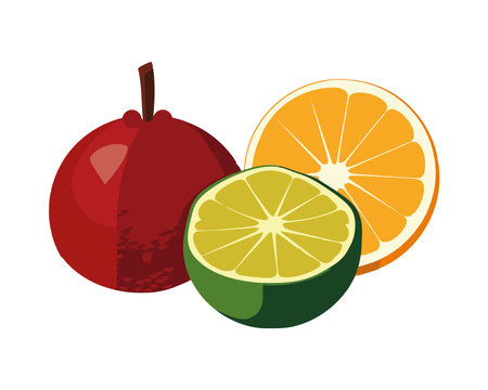 Ripe citrus fruits healthy and refreshmentのイラスト素材