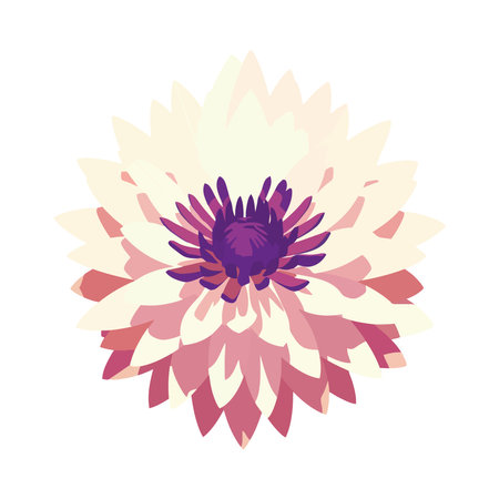 daisy blossom decorates natureのイラスト素材