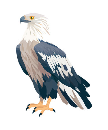 Bird of prey soars in natures skyのイラスト素材