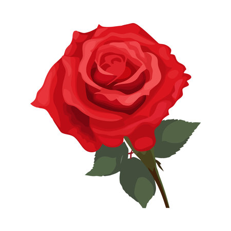 Romantic bouquet of fresh flower for weddingのイラスト素材