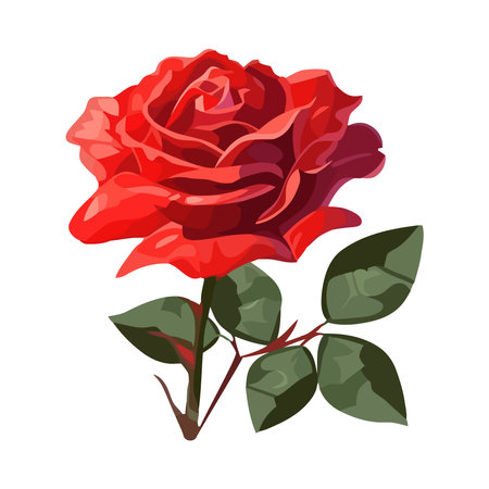 Romantic summer bouquet, a gift of loveのイラスト素材