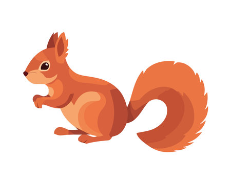squirrel Cute rodent sitting autumn animalのイラスト素材