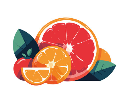 Juicy citrus fruits symbolize healthy summer eatingのイラスト素材