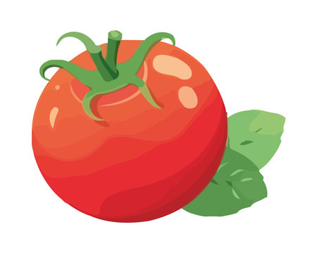 Fresh organic tomato, ripe vegetable for healthy eatingのイラスト素材