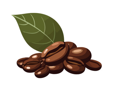 Fresh coffee bean illustration on organic backdropのイラスト素材