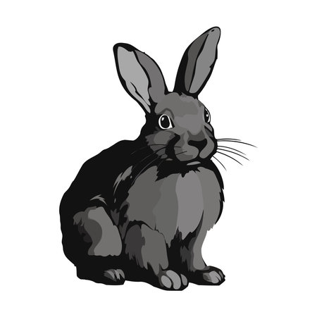 Cute rabbit sitting, watching nature, isolated on white backgroundのイラスト素材