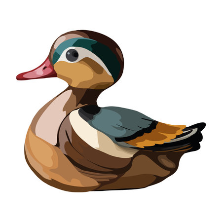 Cute duckling quacking in natureのイラスト素材