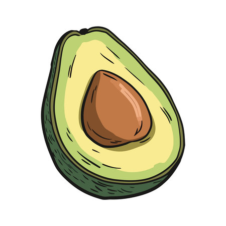 Ripe avocado slice, fresh and organic snackのイラスト素材