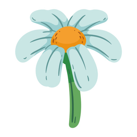 white flower designのイラスト素材